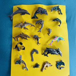 Dolphin Collection