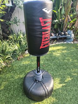 Everlast punch bag and pull up bar