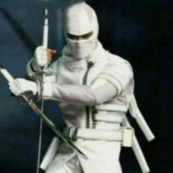 White Ninja Adult Costume (Gi Joe Storm Shadow)