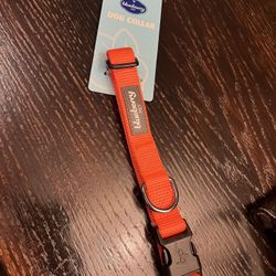 ☀️25% OFF NEW (w/tags) - Blueberry Pet Dog Collar