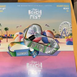 Baja Beach Fest 