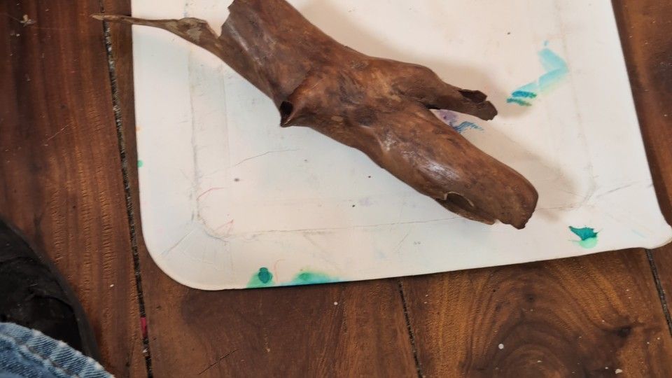 Naturally Hollowed Out Root Driftwood