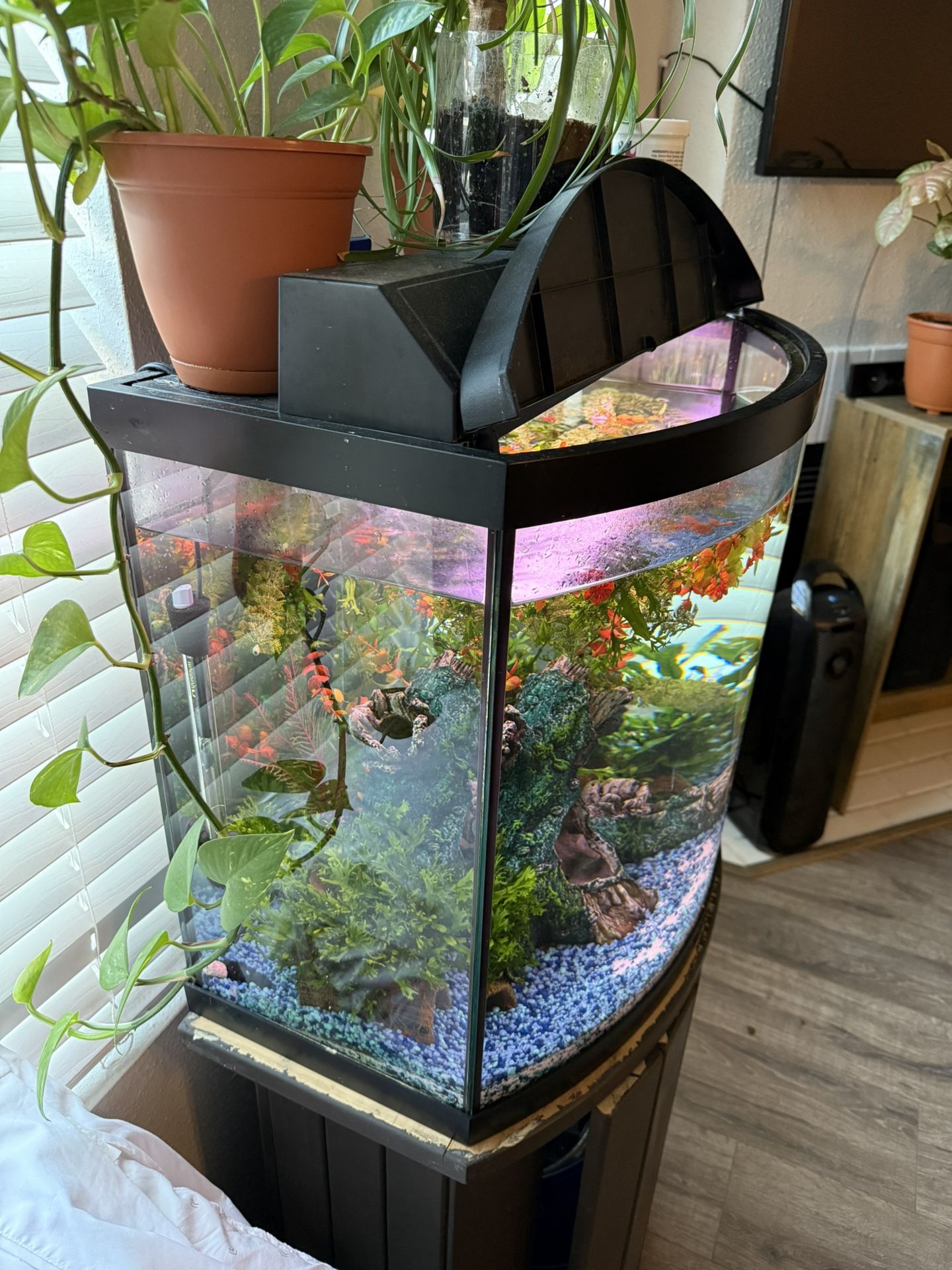 SE VENDE PECERA/ Fish tank for sale
