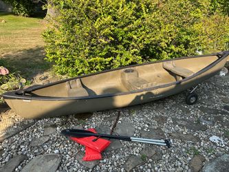 14’ Sun Dolphin canoe