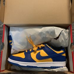 Nike Dunk Low Retro Size 10