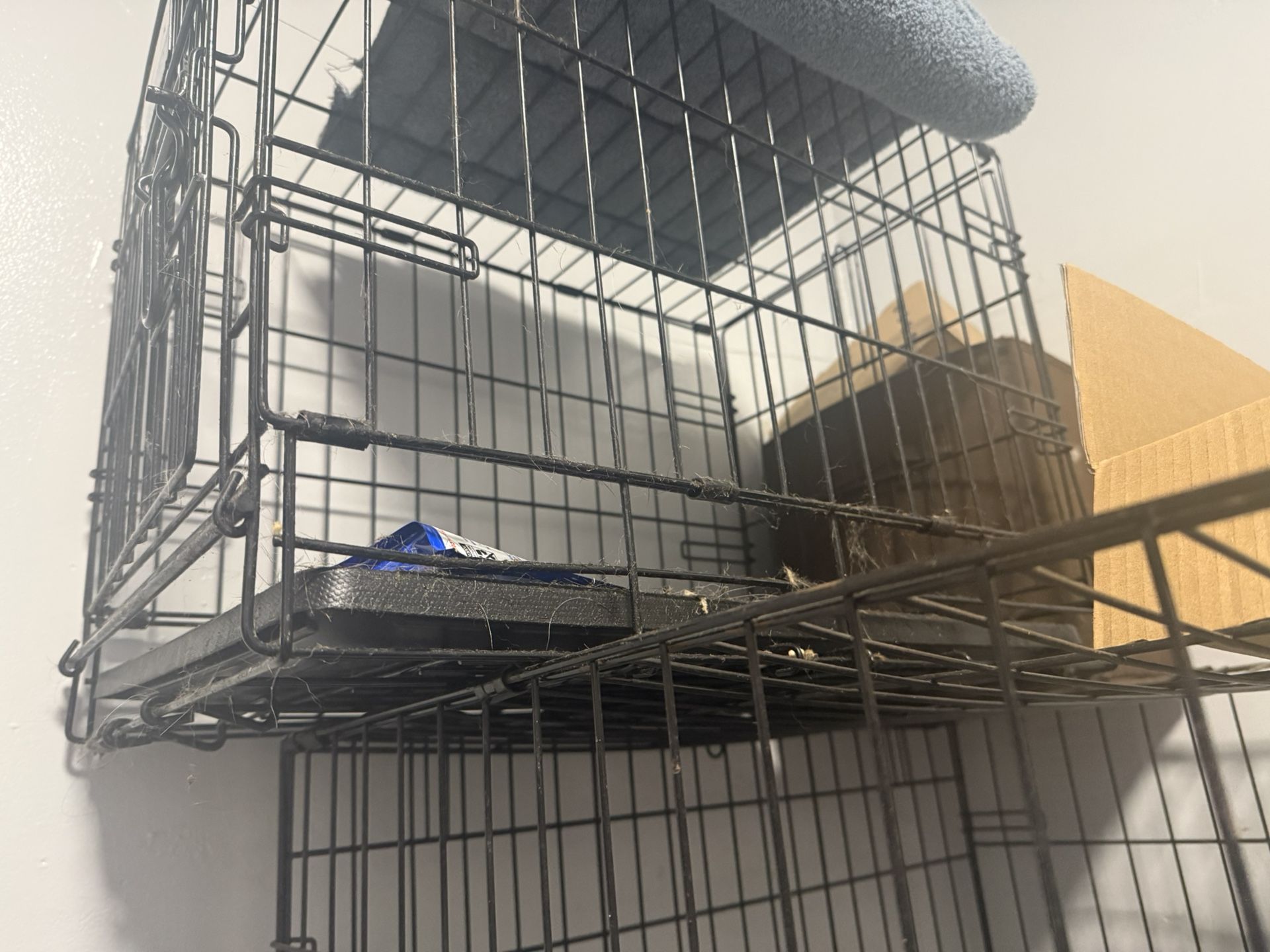 Kennel