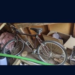 Giant iguana bike bicycle women's 24