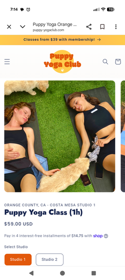 3 tickets to Puppy Yoga in Costa Mesa