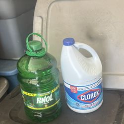 Clorox And Pinol 