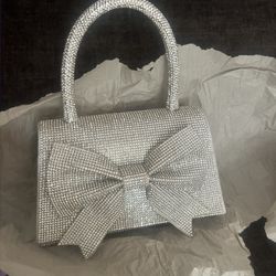 silver purse