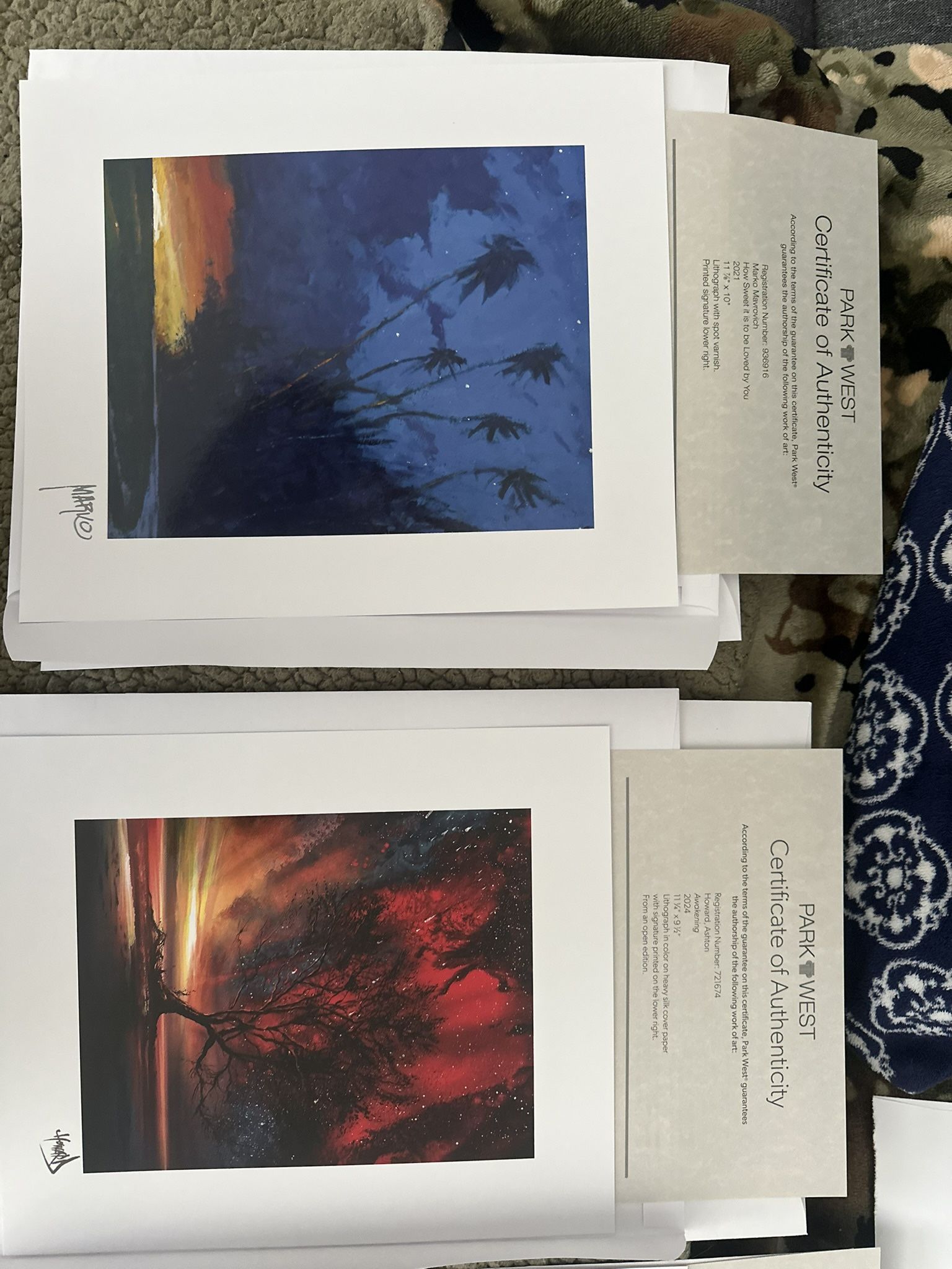 Limited Edition Lithograph