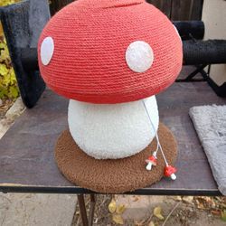 Mushroom Cat Scratcher