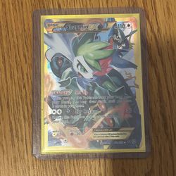 Pokémon Card Lot