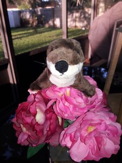 Baby Sea Otter Sliding 8