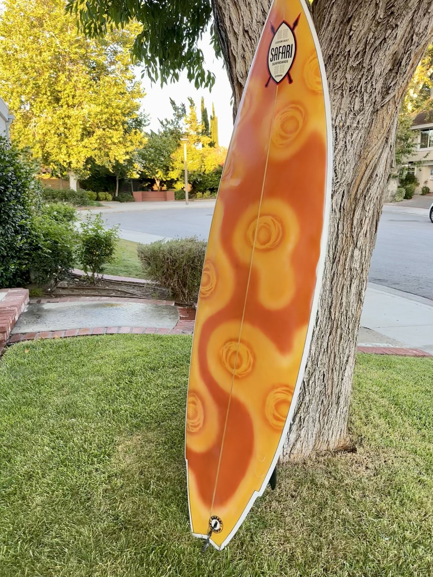 6’5 Safari Surfboard