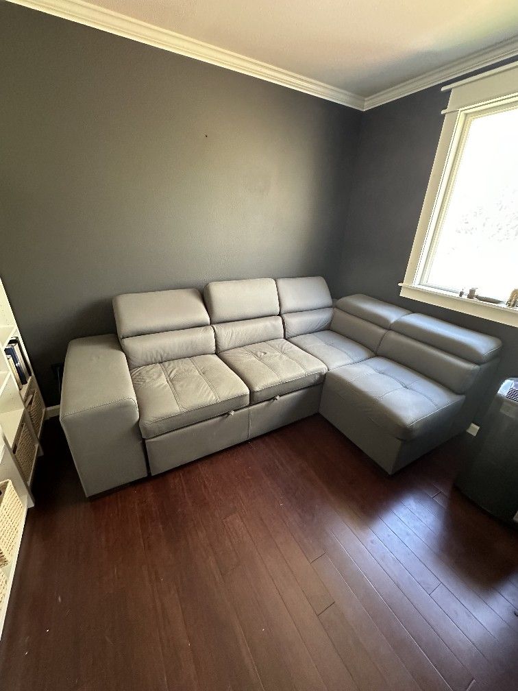 Brand New Sectional Sleeper Sofa