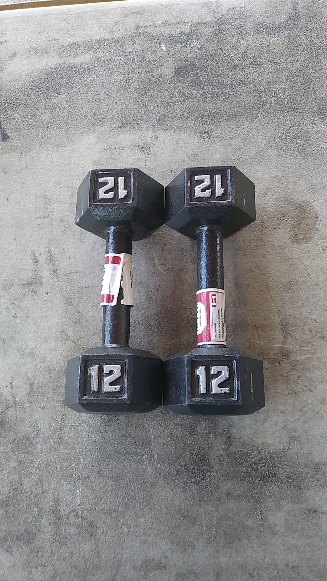 Two 12 pounds dumbbells