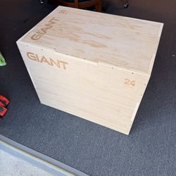 Rogue Fitness Jump Box Workout Box 