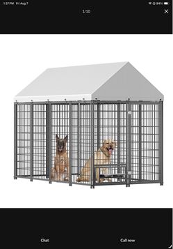 Large Outdoor Dog Kennel with Roof