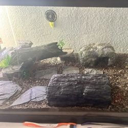 40 Gallon tank everything included 