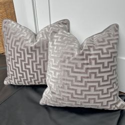 Decorator Pillows! Down-filled, High-end Gray Velvet/matte