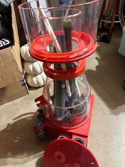 Regal 250-e Skimmer