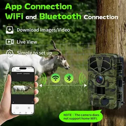 Trail Camera for Outdoor Wildlife
