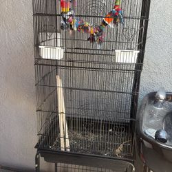 Bird Cage $1