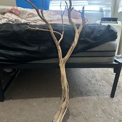 Big wood branch for reptile or fish tank