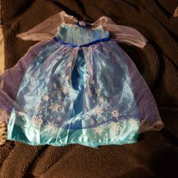 Elsa Costume 