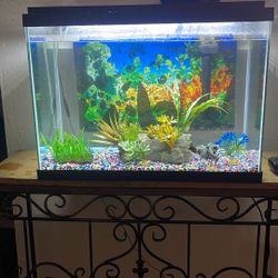 20 Gallons Fish Tank