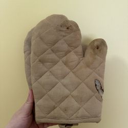 A pair of Oven Gloves 