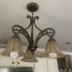 2 Dining Room Lamps