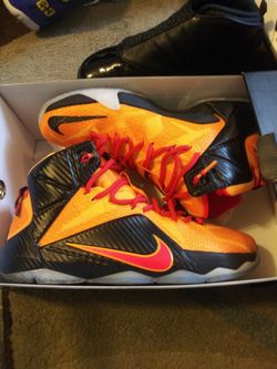 Lebron 12s