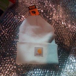 NWT! Light Blue Carhartt Beanie!