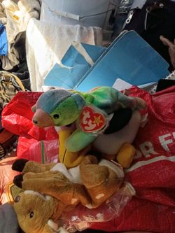 Beanie babies