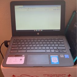 Hp Laptop 