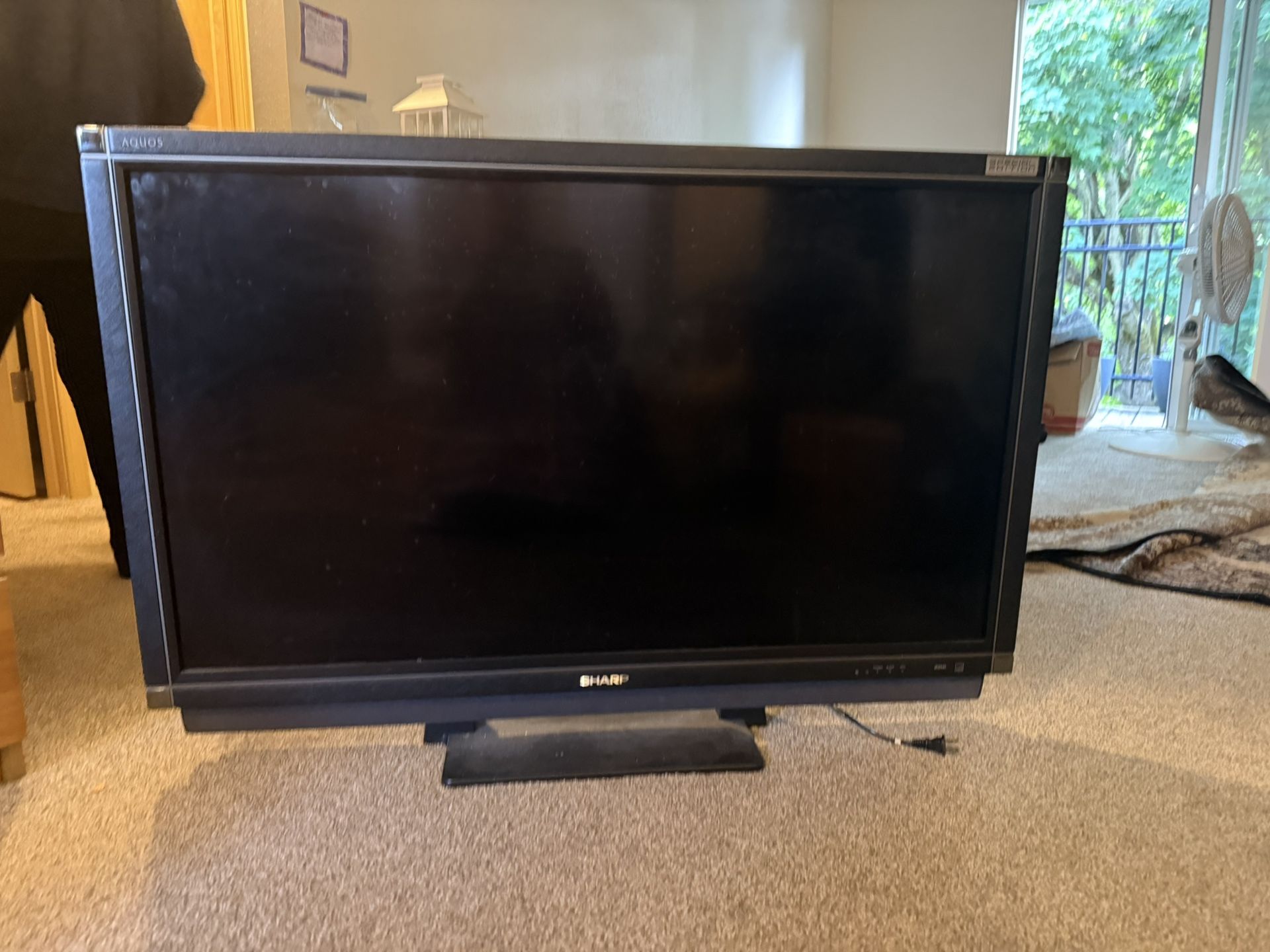 TV Screen 55”