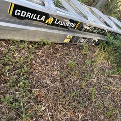 Gorilla Ladder (26ft)