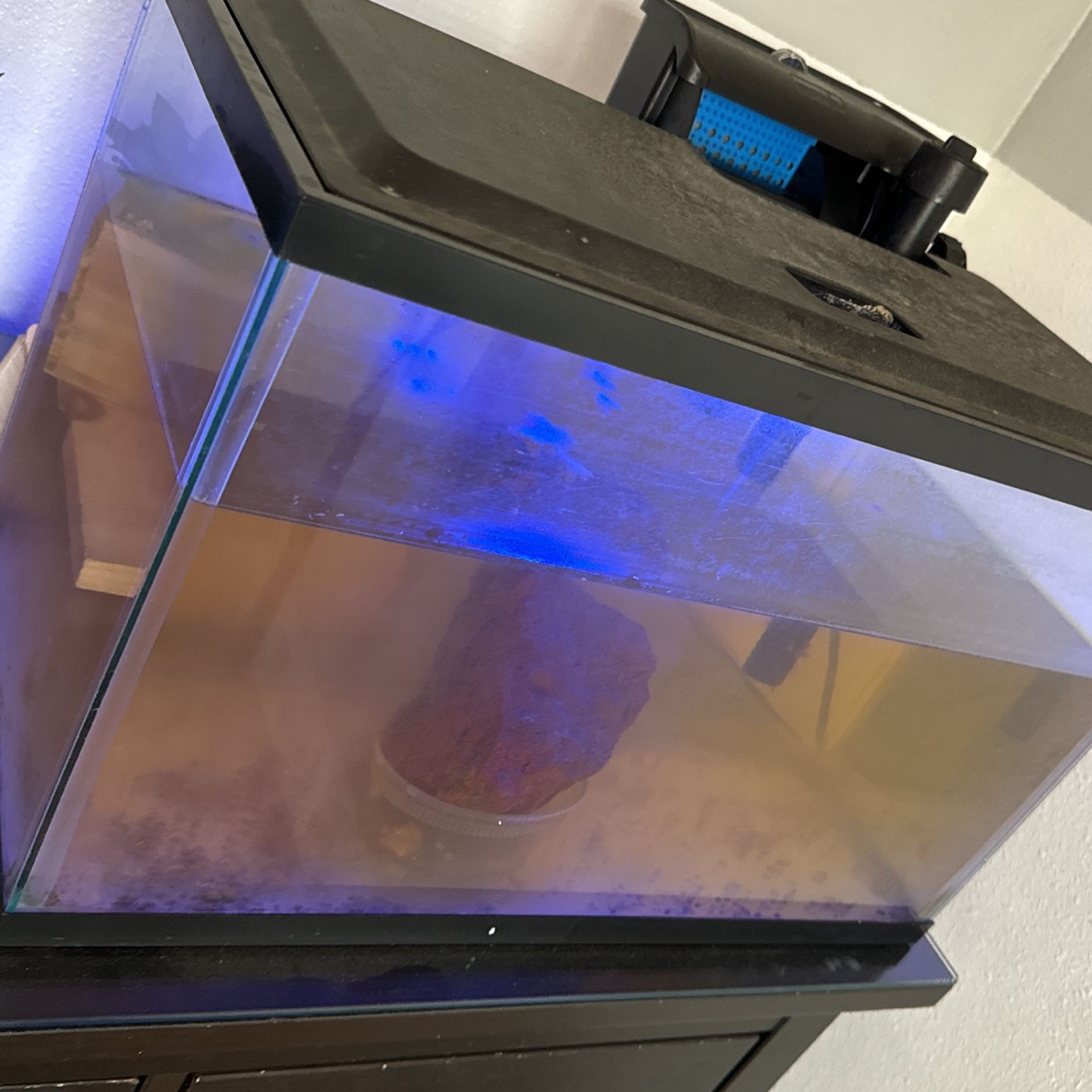 Fish Tank