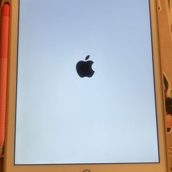 iPad (7th) 10.2” (2019)