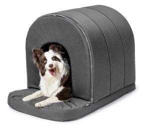 Dog House
