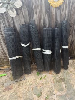 All for $20