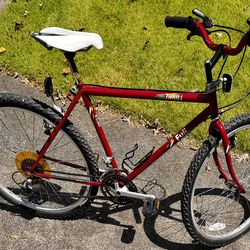 Fuji Thrill Mtn CIty Bicycle Bike