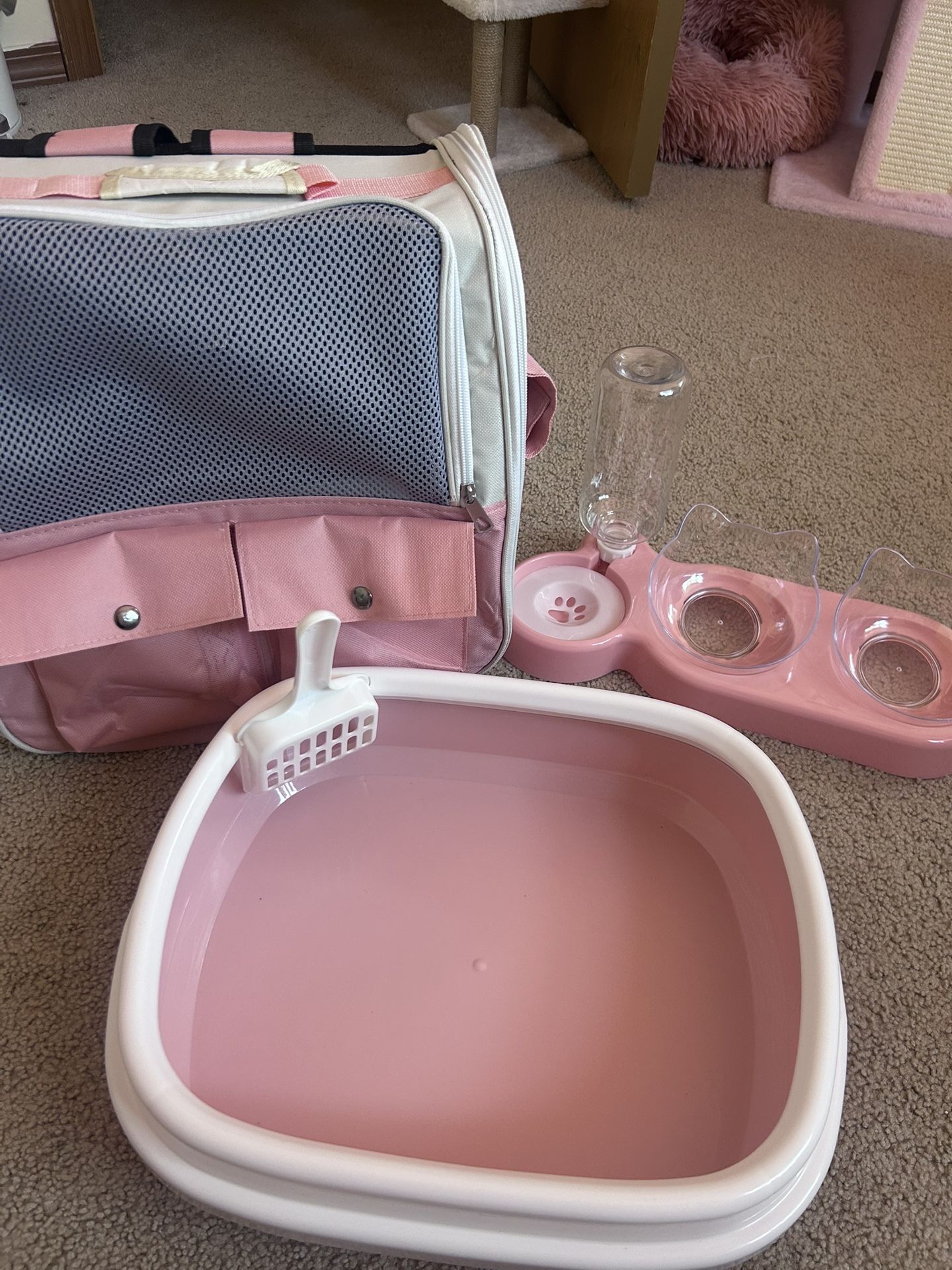 Kitten litter box, Food bowl, and Carrier