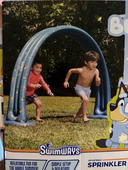 Bluey sprinkler arch
