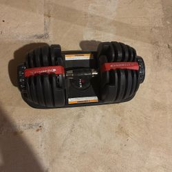 Single Bowflex Adjustable dumbbell 