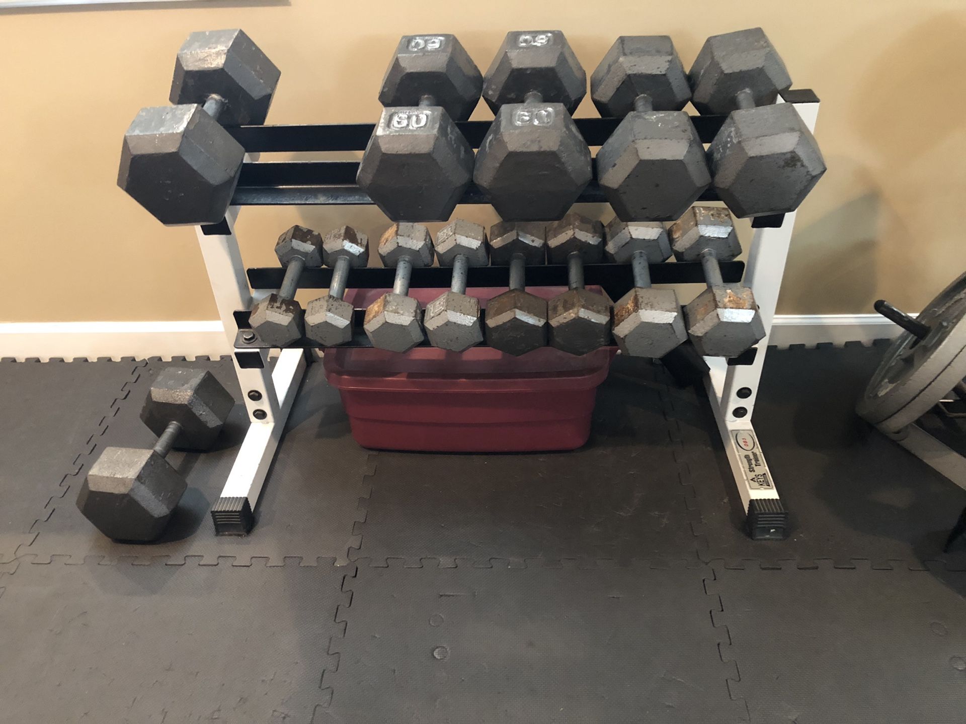 Set of dumbbells and stand