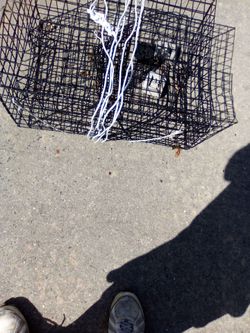 Black crab trap