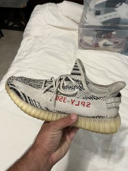 Yeezy Zebra Size 14